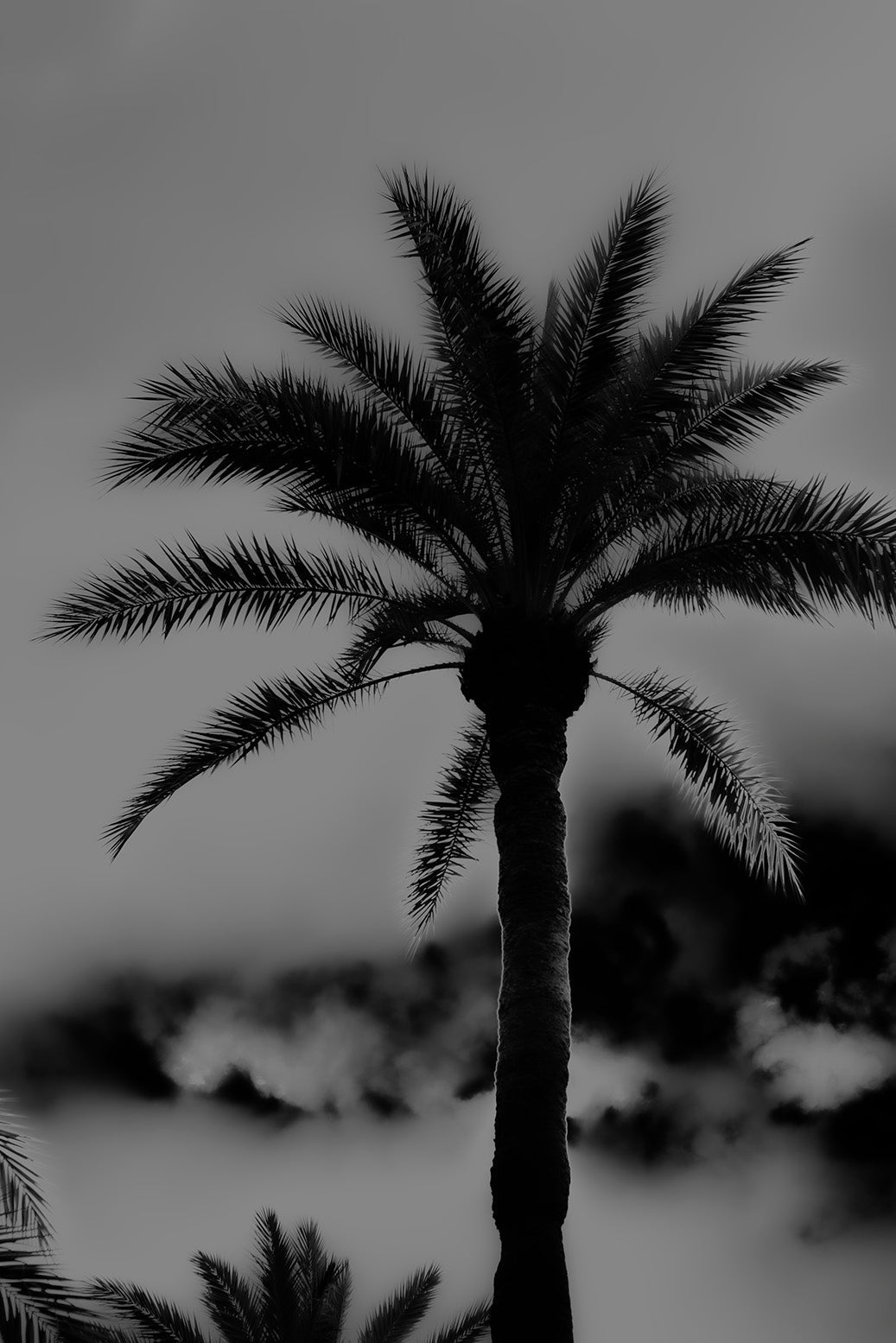 PRINTS