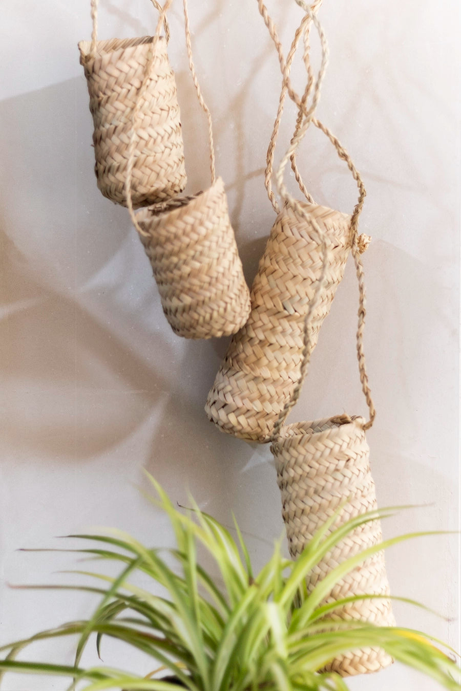 Cesta colgante
